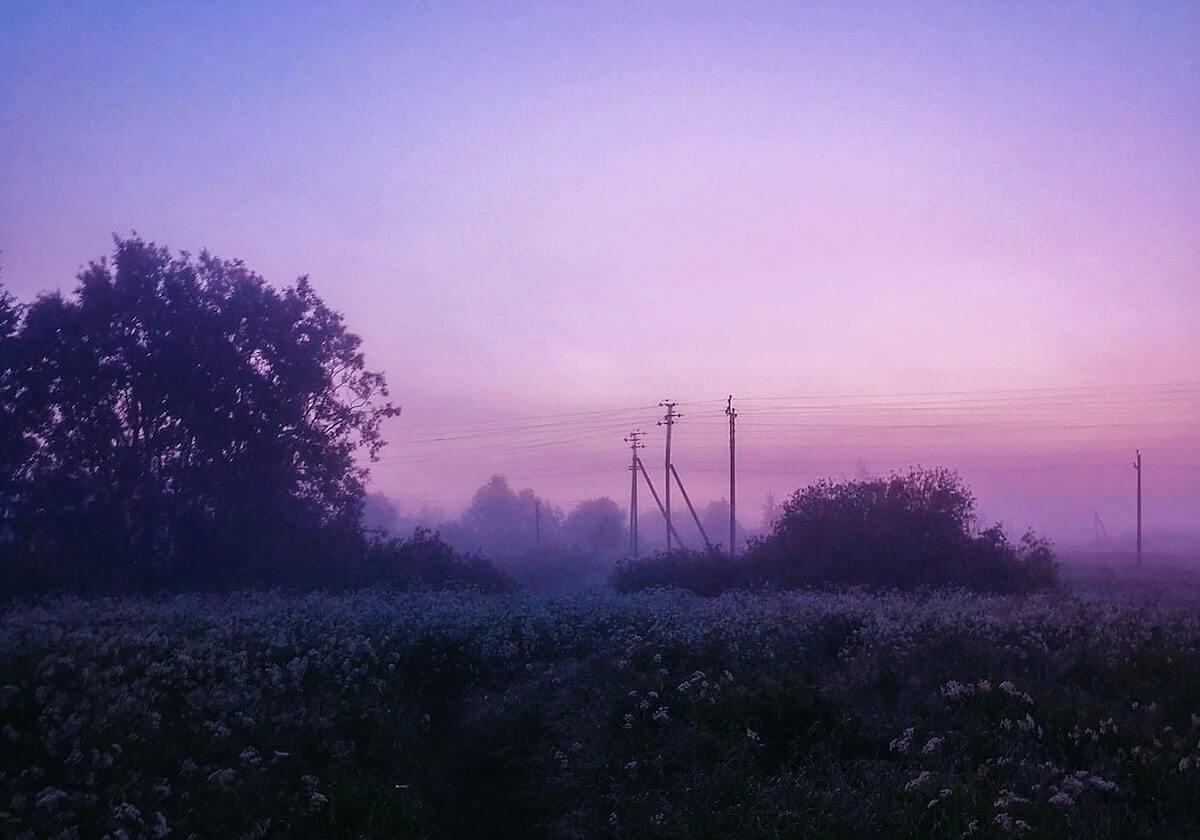99精产国品一二三产区区:从田野到餐桌的品质联动