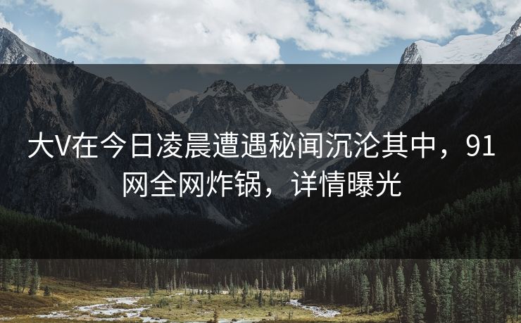 大V在今日凌晨遭遇秘闻沉沦其中，91网全网炸锅，详情曝光