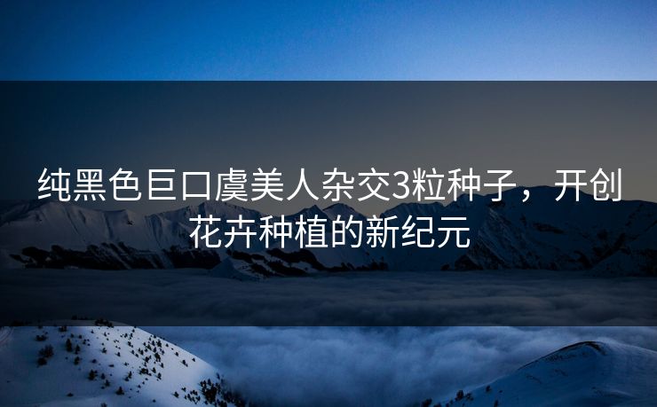 纯黑色巨口虞美人杂交3粒种子，开创花卉种植的新纪元