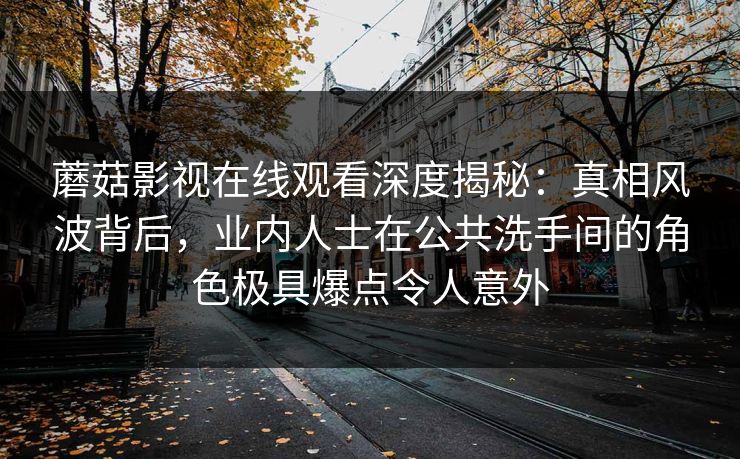 蘑菇影视在线观看深度揭秘:真相风波背后,业内人士在公共洗手间的角色极具爆点令人意外
